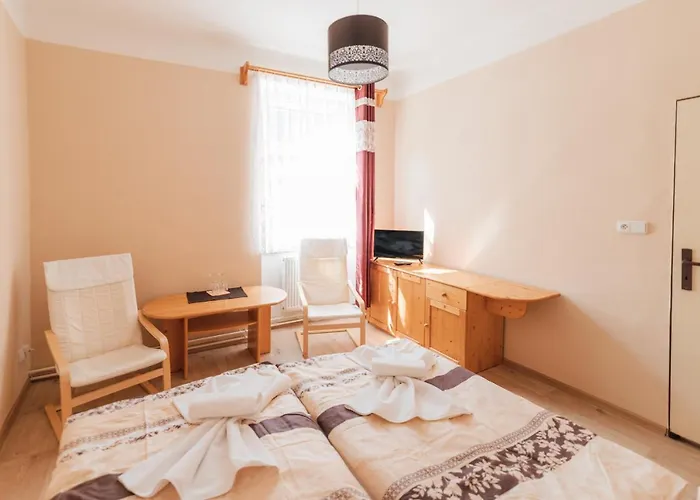 Pod Zámkem Hotel 3*
